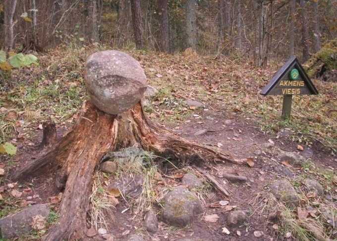 Аномальные зоны Латвии: тайна Покайнского леса