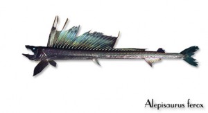 Алепизавр – жуть плавучая
