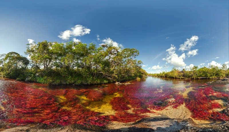Каньо Кристалес – самая разноцветная река в мире