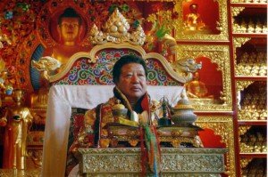 Тулку Тибета и проблемы жизни после смерти