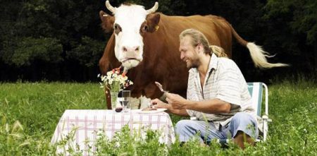 eating-next-to-cow