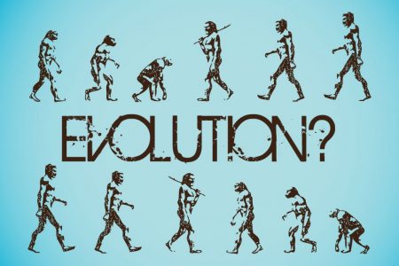 evolution-graphics1