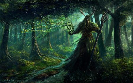 forest-druid