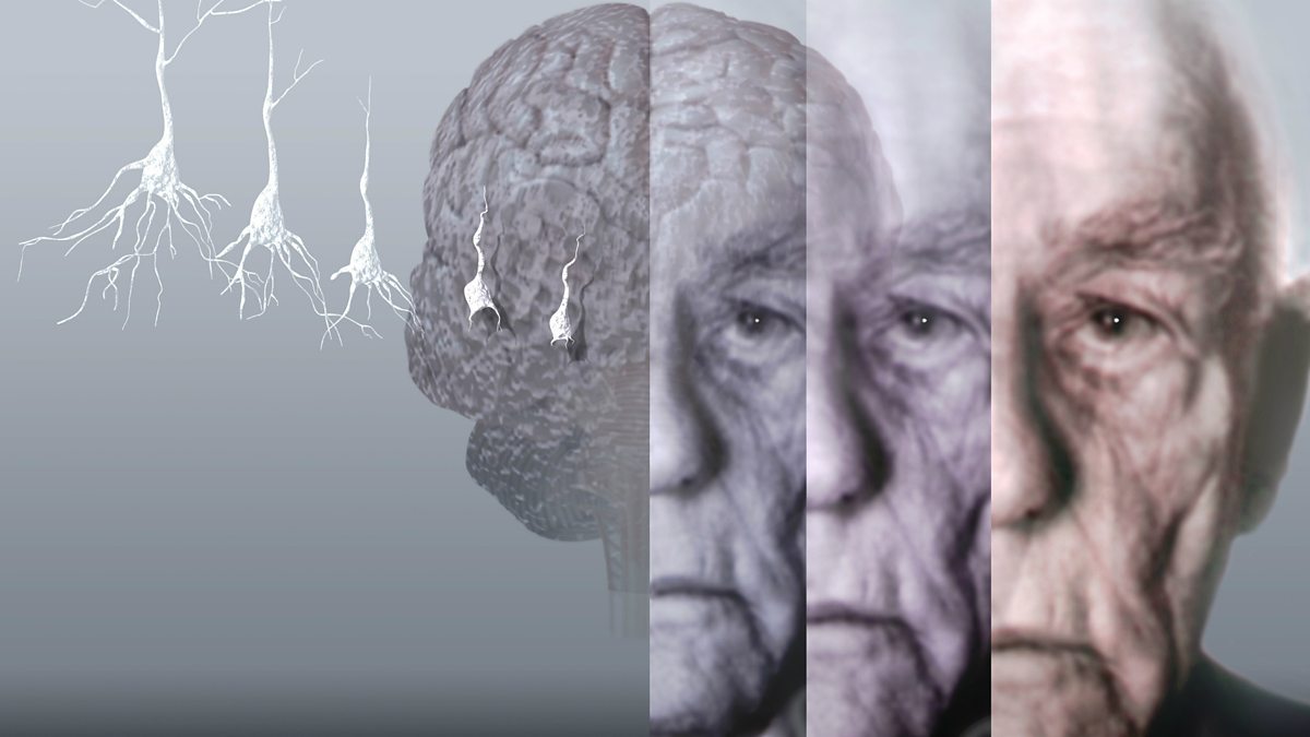 Ученые заявили, что сознание живет после смерти мозга