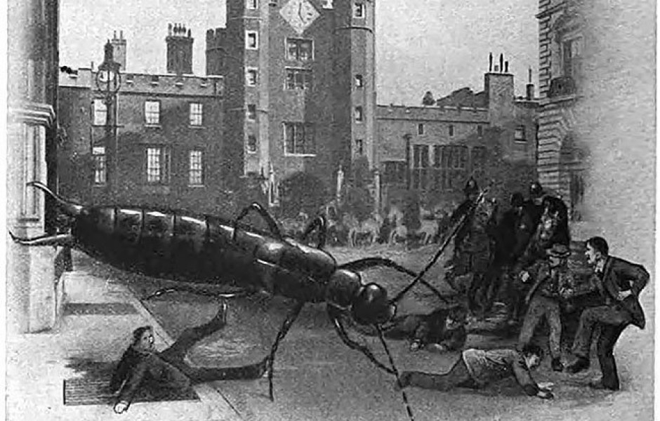 В 1909 году журнал Strand представил, что случится, если гигантские насекомые нападут на Лондон (5 фото)