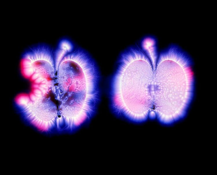 Эффект Кирлиан: Уникальное открытие ХХ века