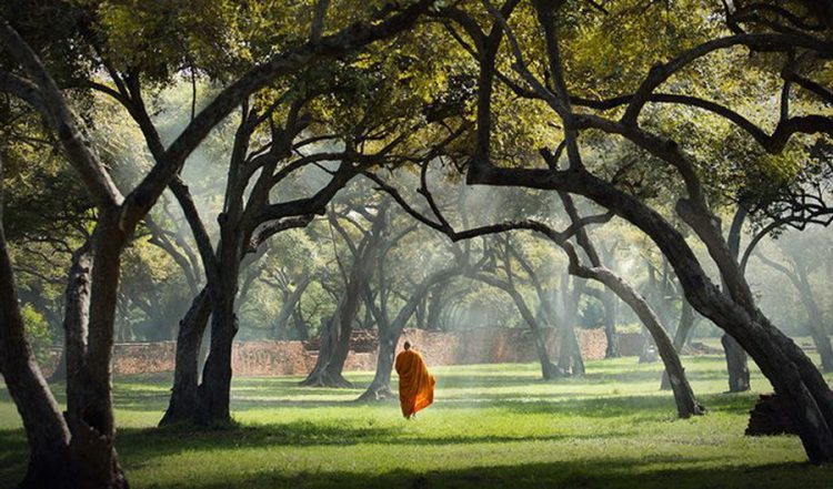 6 древних буддийских принципов на каждый день, способных изменить всю вашу жизнь