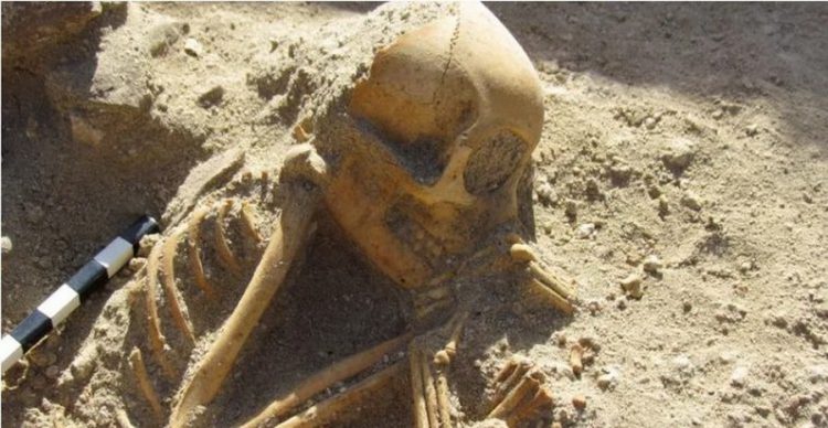 Словно спящие дети: Археологи раскопали в Египте кладбище странных животных (ФОТО)