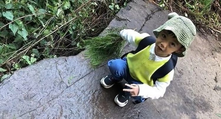 Пятилетний мальчик во время прогулки по деревне обнаружил следы древнейших динозавров