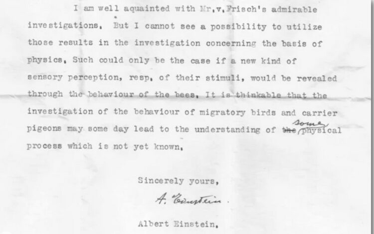 Эйнштейн предсказал открытие сверхчувств животных: обнаружено тайное письмо ученого