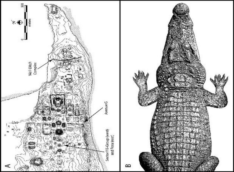 В планировке древнего города майя обнаружили следы мифа о крокодиле