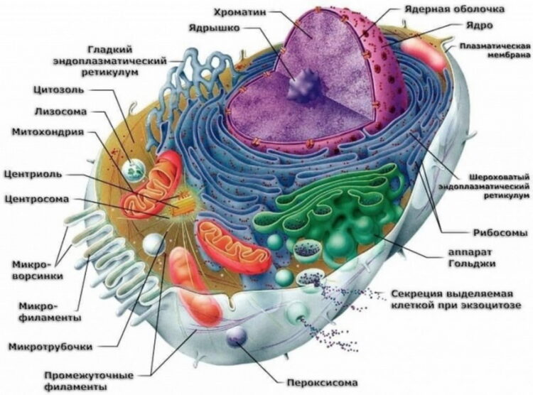 Доказательство Бога – его творение