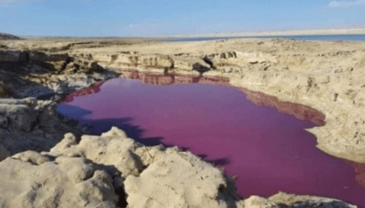 В Иордании озера возле Мертвого моря вдруг стали красными.